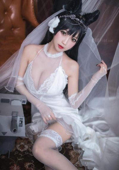 野兽的战争在线观看