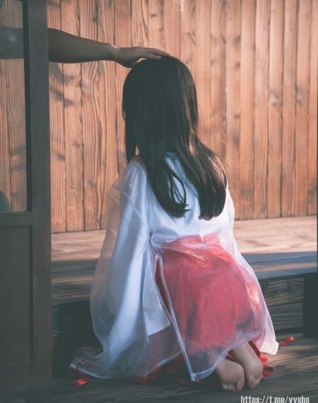 上阵父子兵电视剧免费全集