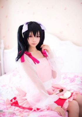 打黑电视剧免费观看