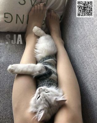 久久在线直播
