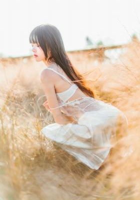 丁香花免费高清视频完整版动漫