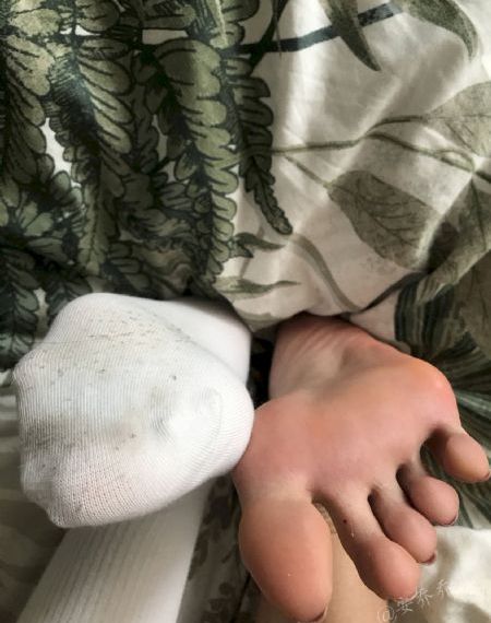 警花与警犬第二季观看