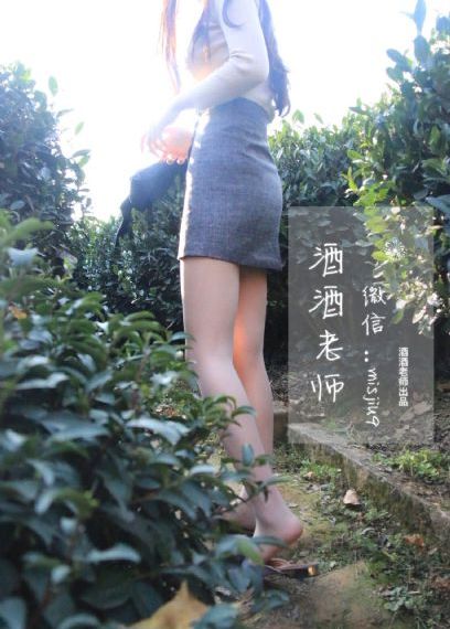 石纪元第四季