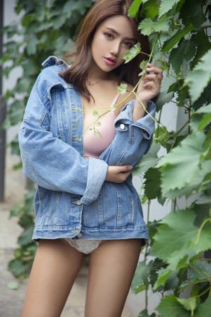 我的老婆是会长大人