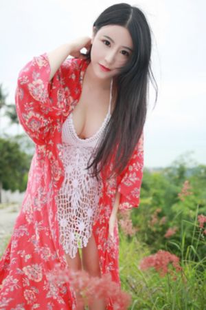 警花与警犬第二季免费
