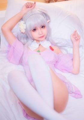 电视剧雪豹免费观看完整版
