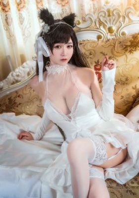 樱花动漫官网网页
